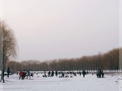 -东坝千亩湖公园