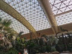 -杭州开元森泊度假乐园