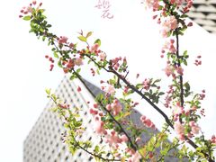 -陆家嘴世纪金融广场