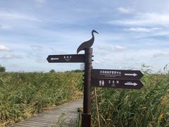 -盐城丹顶鹤湿地生态旅游区