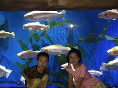 -南昌融创海世界