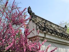 -沈阳植物园
