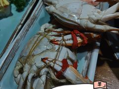 -蟹将军·松叶蟹和牛日料放题自助(K11店)