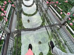 -马仁奇峰
