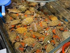-健跳小海鲜(人民路店)