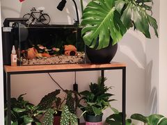-至美焕新·全屋翻新