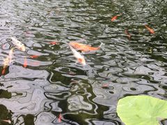 -汤山翠谷生态餐厅