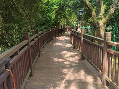 -绍兴镜湖国家城市湿地公园