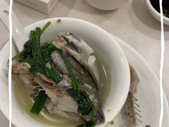 杂鱼汤-金苑海鲜酒家(新港中路店)