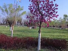 -汉长安城未央宫国家考古遗址公园