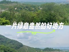 -远山有窑