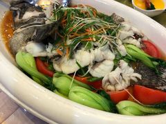 -金星大酒店(东街店)