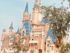 -上海迪士尼度假区