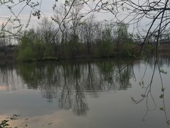 -白鹭湾湿地公园