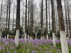 -河海大学(江宁校区)