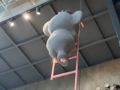 -了不起的考拉咖啡店(高新店)