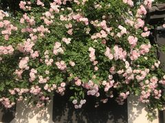-胖子馄饨坊(天目大厦东南)