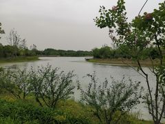 -东郊湿地公园