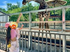 -水上乐园·欢乐世界