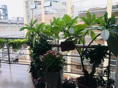 -十二舍·湯物素煮(江泰潤政店)