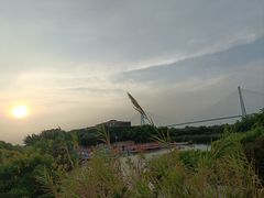-芒洲湿地公园