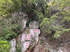 -星湖旅游景区七星岩