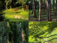 -杭州植物园