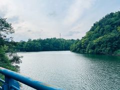 -观山湖公园