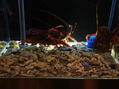 -璞御·海鲜·雪花牛肉局(宾水西道店)