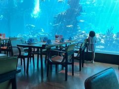 -海棠湾洲际-涛·海底餐厅·美人鱼·自助餐·海底隧道