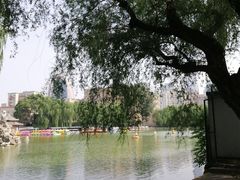 -团结湖公园