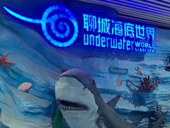 -聊城海底世界