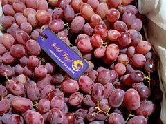 -上海龙吴水胜海发市场