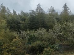 -普陀长途客运中心