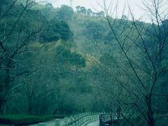 -宁波五龙潭景区