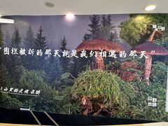 -银座mall(东直门店)