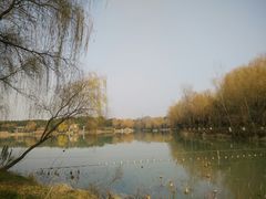 景点-昆山城市生态森林公园