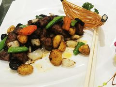 -北海渔村酒楼·粤菜海鲜点心(新华店)
