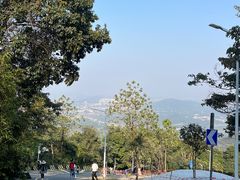 -黄埔油麻山森林公园