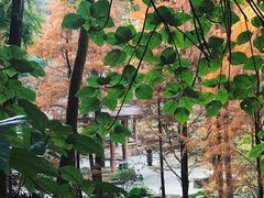 -广州市帽峰山景区