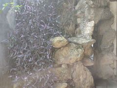-福建民俗博物馆