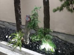 -小厨娘淮扬菜(六合欢乐港店)