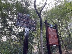 -武夷山风景名胜区-虎啸岩