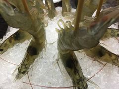 -渔傅·蓝海岸霞浦海鲜(正祥店)