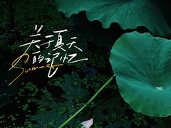 -顾村公园