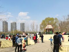 -长白岛森林公园