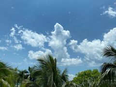 -深圳大梅沙京基洲际度假酒店