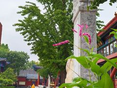 -大明幻境第一城