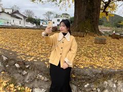 -广东茂名森林公园