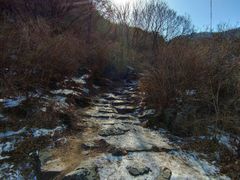 -阳台山自然风景区